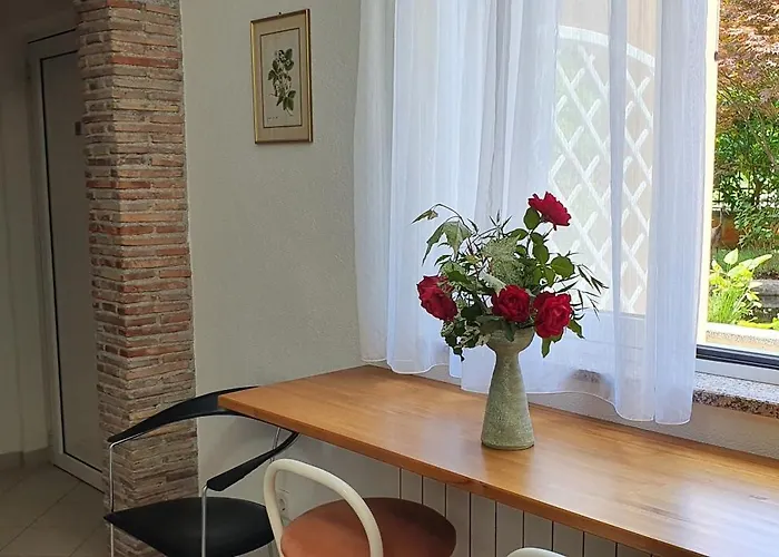 Appartamento Ginkgo, - Pula *
