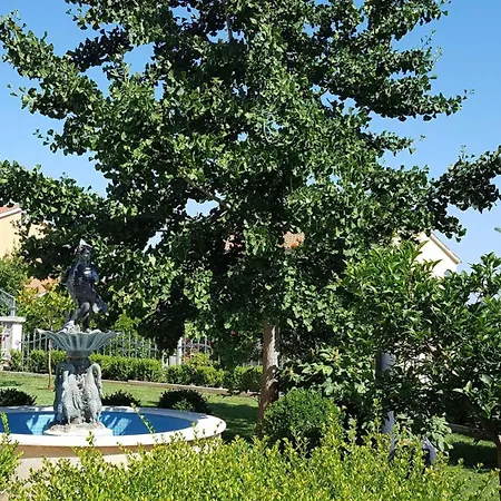 Ginkgo, - Pula Apartman *