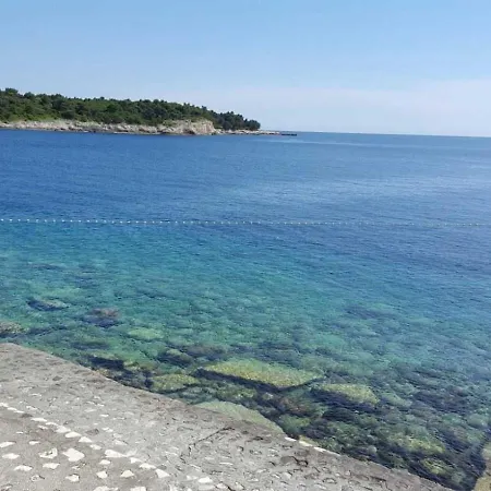 Apartman Ginkgo, - Pula