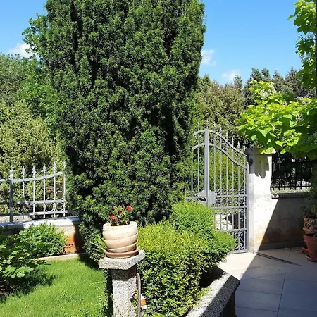 Ginkgo, - Pula Apartman