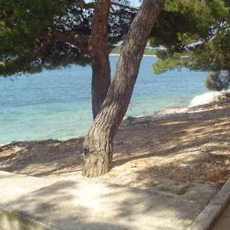 Apartmán Ginkgo, - Pula Banjole